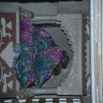 Vraj-Yatra-2014- (246)